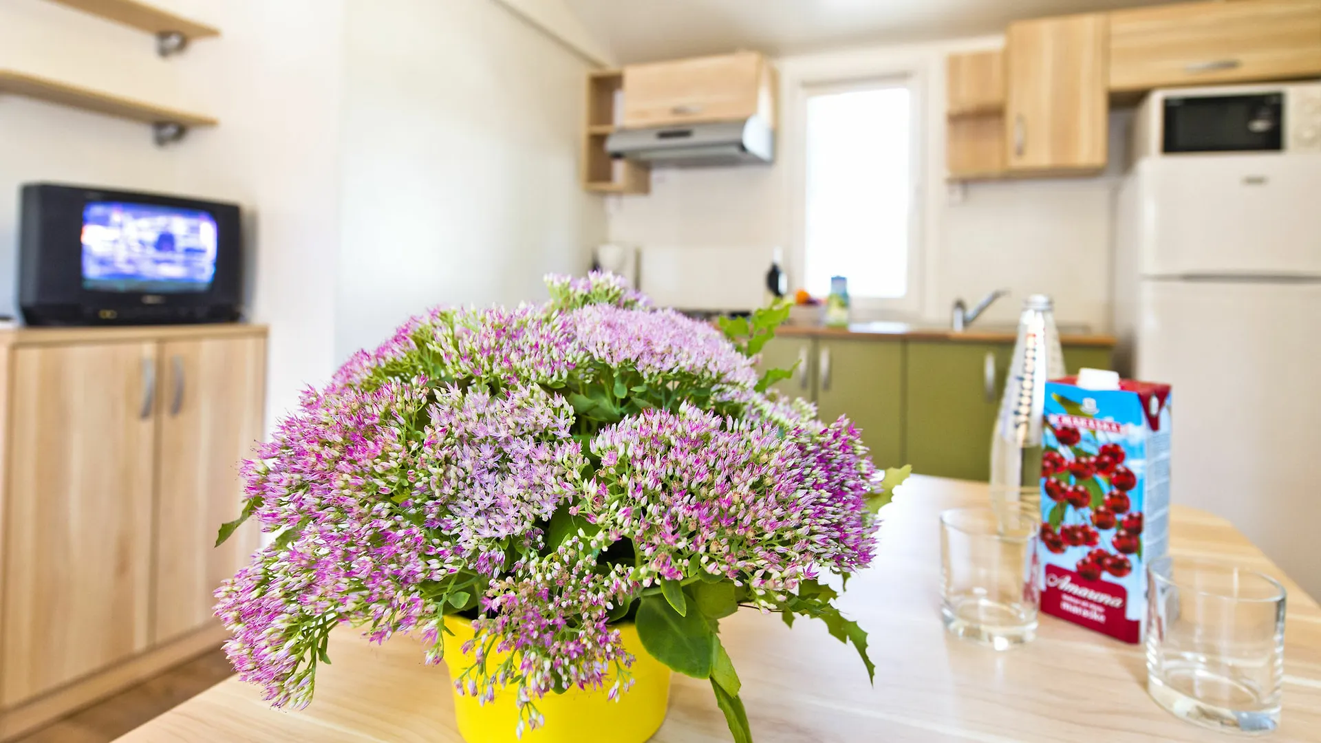**  Zaton Holiday Resort Mobile Homes Nin Croatia